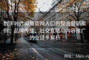 数字时代海角官网入口的整合营销案例：品牌传播、社交互动与内容推广的全链条解析