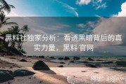 黑料社独家分析：看透黑暗背后的真实力量，黑料 官网