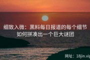 细致入微：黑料每日报道的每个细节如何拼凑出一个巨大谜团