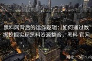 黑料网背后的运作逻辑：如何通过数据挖掘实现黑料资源整合，黑料 官网