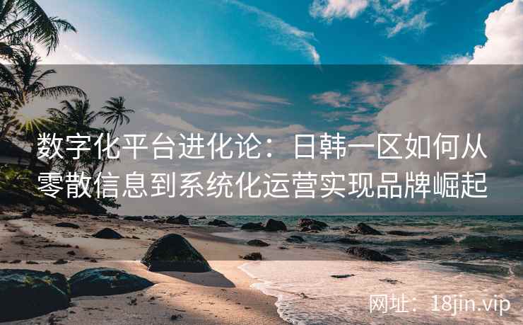 数字化平台进化论：日韩一区如何从零散信息到系统化运营实现品牌崛起