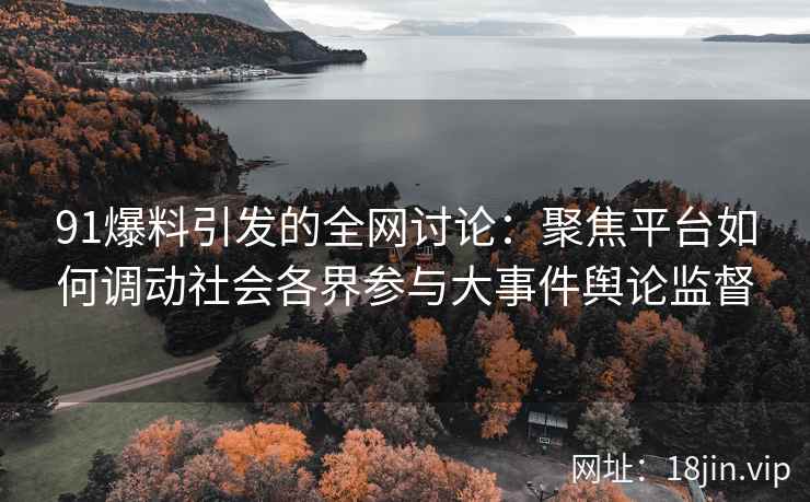 91爆料引发的全网讨论：聚焦平台如何调动社会各界参与大事件舆论监督