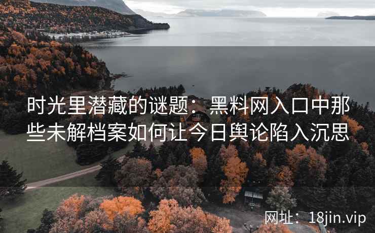 时光里潜藏的谜题：黑料网入口中那些未解档案如何让今日舆论陷入沉思