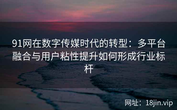 91网在数字传媒时代的转型：多平台融合与用户粘性提升如何形成行业标杆
