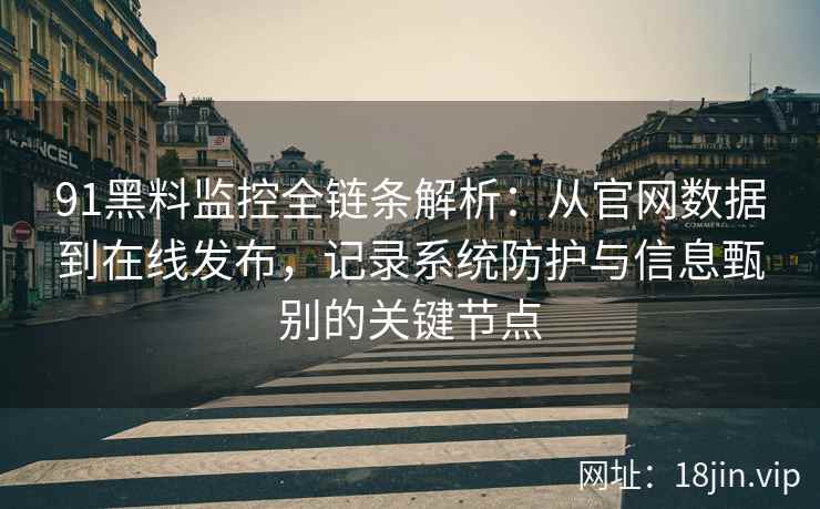 91黑料监控全链条解析：从官网数据到在线发布，记录系统防护与信息甄别的关键节点