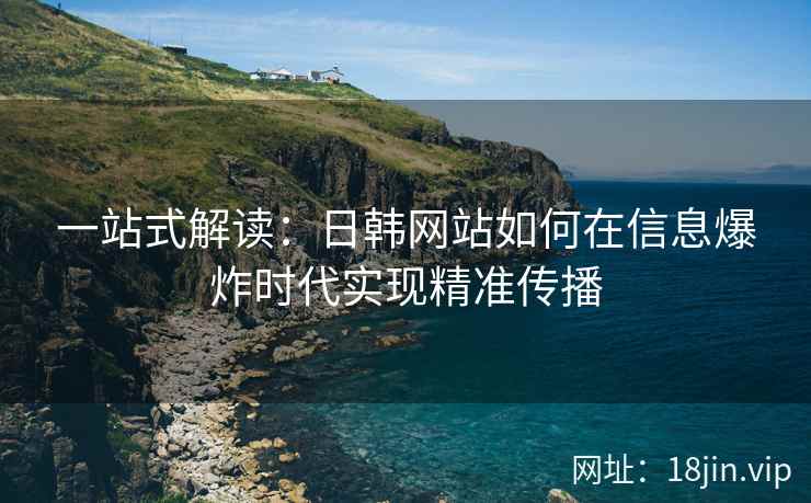 一站式解读：日韩网站如何在信息爆炸时代实现精准传播