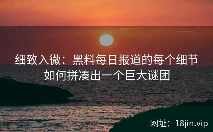 细致入微：黑料每日报道的每个细节如何拼凑出一个巨大谜团