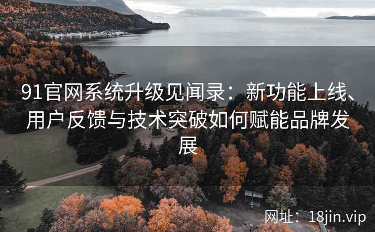 91官网系统升级见闻录：新功能上线、用户反馈与技术突破如何赋能品牌发展