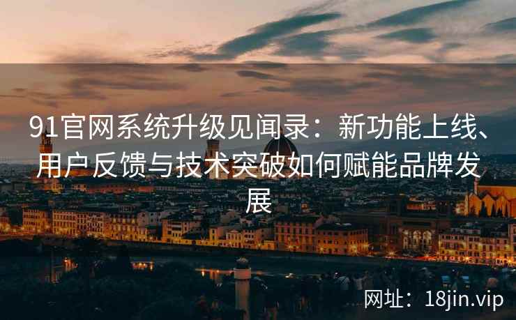 91官网系统升级见闻录：新功能上线、用户反馈与技术突破如何赋能品牌发展